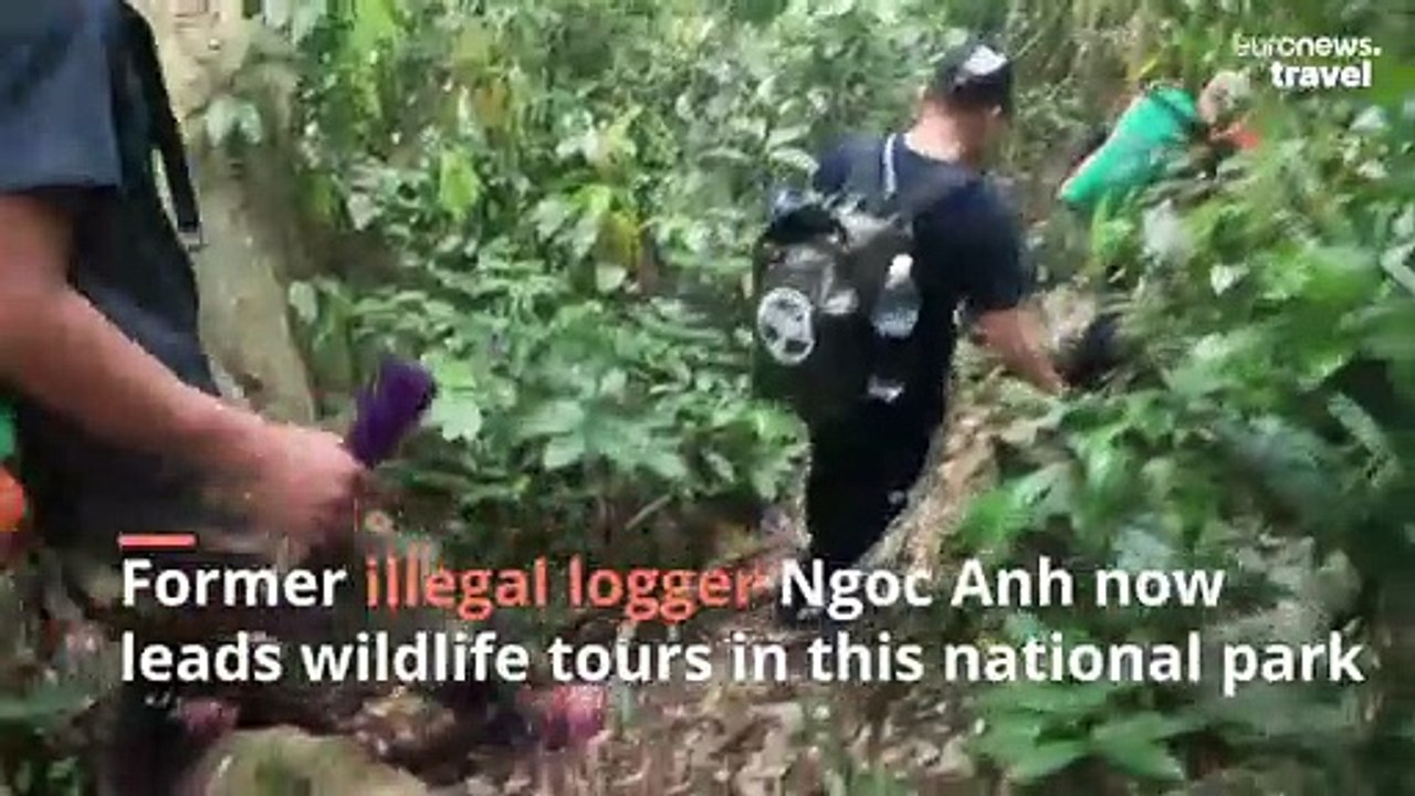 Vietnam's new tour guides were illegal loggers until this innovative programme came along