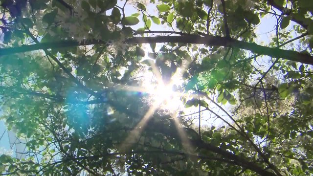 [날씨] 서울, 올봄 최고 기온 28℃, 제주 비...내일 계절 제자리 / YTN