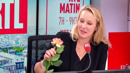 Quand Philippe Caverivière offre une rose du Kenya à Marion Maréchal