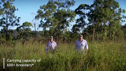 Penyrhoel Station, Gympie | April 2022 | Queensland Country Life