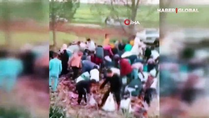 Şanlıurfa'da devrilen tırdaki bayram şekerleri ile çikolatalar yağmalandı