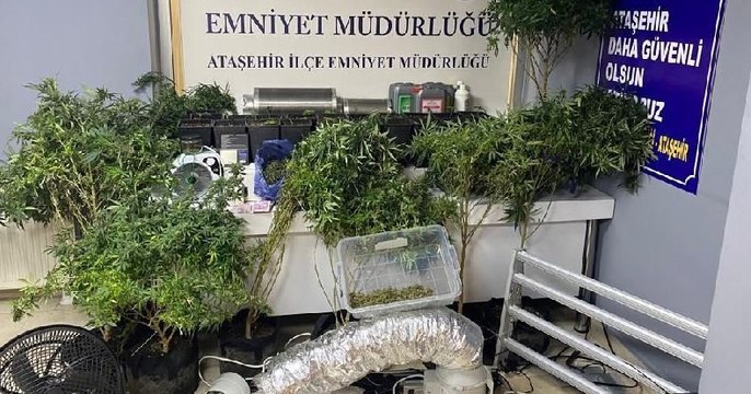 Ataşehir’de lüks rezidansta uyuşturucu serasına baskın: 2 gözaltı