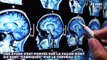 Comment le cerveau fabrique-t-il les souvenirs ?