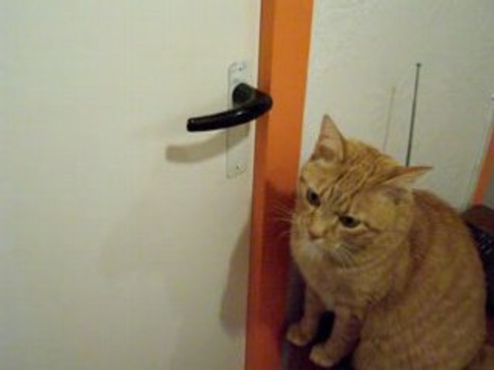 Safran et porte