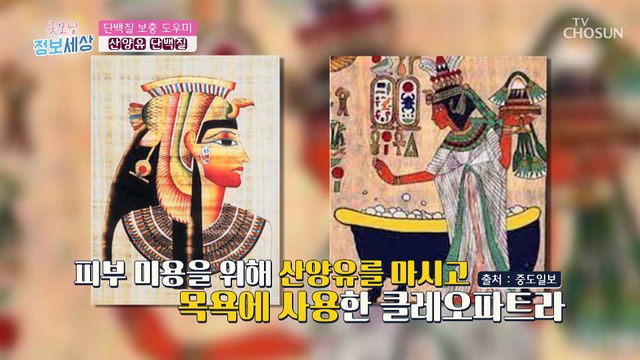 단백질 보충 걱정 NO 근감소에 도움 주는 산양유 단백질 TV CHOSUN 220426 방송