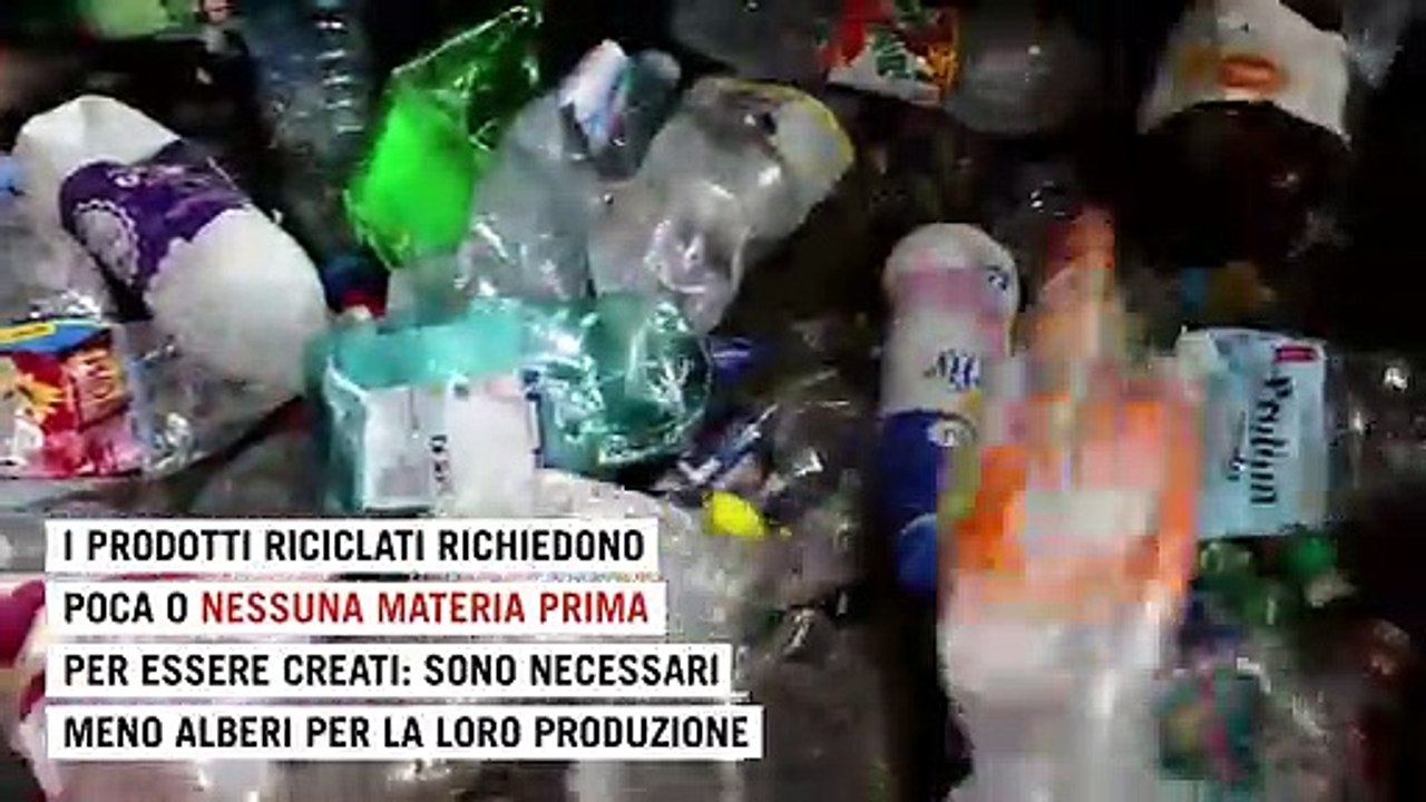 Sei semplici azioni quotidiane per ridurre la deforestazione