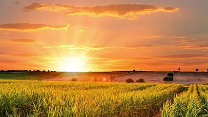 उन्हाचा तडाखा!  स्विमिंग पूल झाले हाऊस फुल-