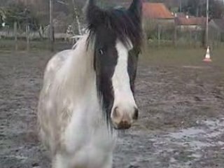 Tilly