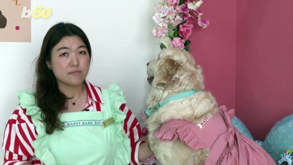 These Dogs Are Enjoying a Restaurant in Dubai