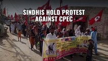 Sindhis Hold Anti-China Protest |Raise Issue Of Forced Conversion Of Hindus, Enforced Disappearances