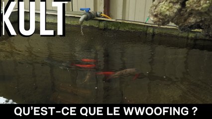 Qu’est-ce que le Wwoofing ?