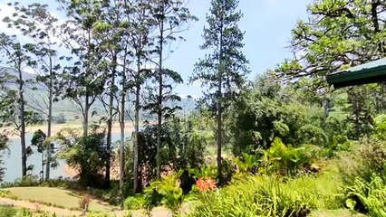 بكت ليست الرحلة التي تراها على وسائل التواصل الاجتماعي لمزارع الشاي