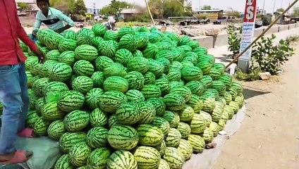 video: आसमां से बरस रही आग, झुलसा रही गर्म हवा