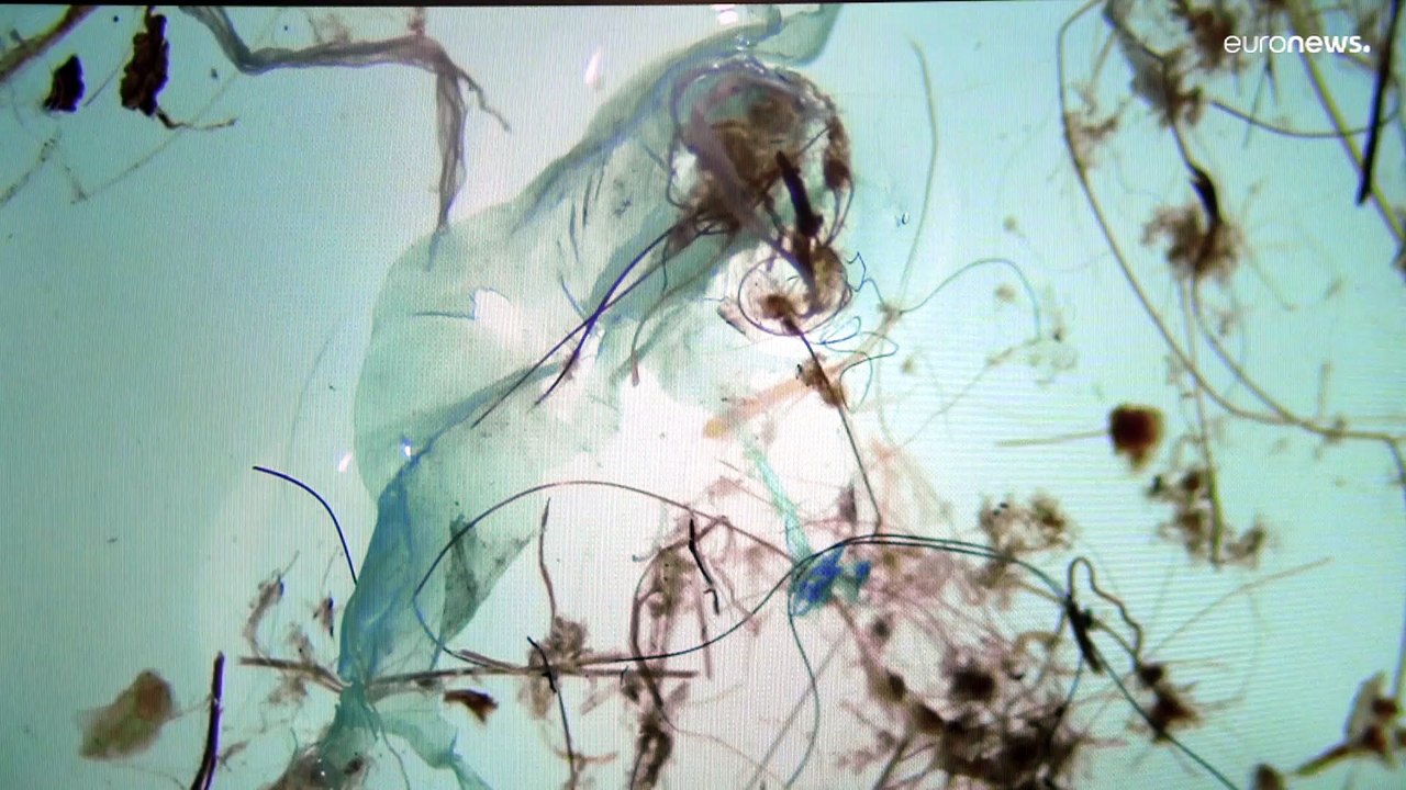 "Les microplastiques se retrouvent dans le sang humain", les scientifiques alertent
