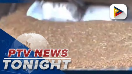 Cost of bread in Zimbabwe up 100% since Russia invaded Ukraine