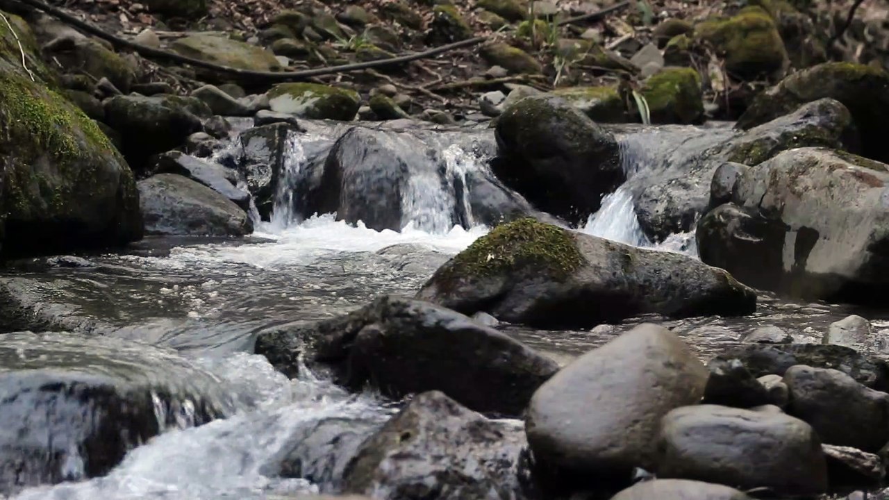 Waterside Grass Open Field & Water Drop & Rain Ocean
