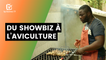 Bénin : Du showbiz à l’aviculture