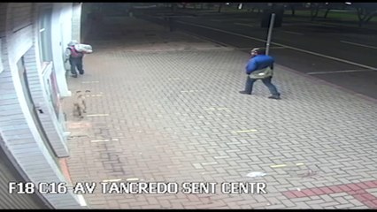 "Cão de guarda": vídeo mostra cachorrinho dando cobertura a ladrões durante arrombamento