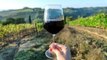 Cet escape game au coeur d'un vignoble vous offre un verre de vin à chaque bonne réponse