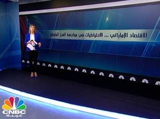 وزارة الإقتصاد الإماراتية: 3.2% العجز المتوقع لعام 2016