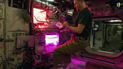 What If You Visited Earth's Next Space Station-