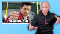 Wing chun master rates eight wing chun fights and scenes in movies