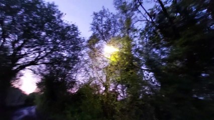 Suggested walking route 1: Woodplace Lane (video footage of the walk down the lane from Netherne)