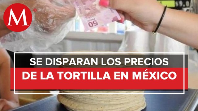 Precio de la tortilla aumenta en Acapulco, Guerrero; se vende entre 26 y 28.50 pesos