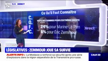 Présidentielle : quelles différences entre les électeurs de Marine Le Pen et ceux d'Éric Zemmour ?