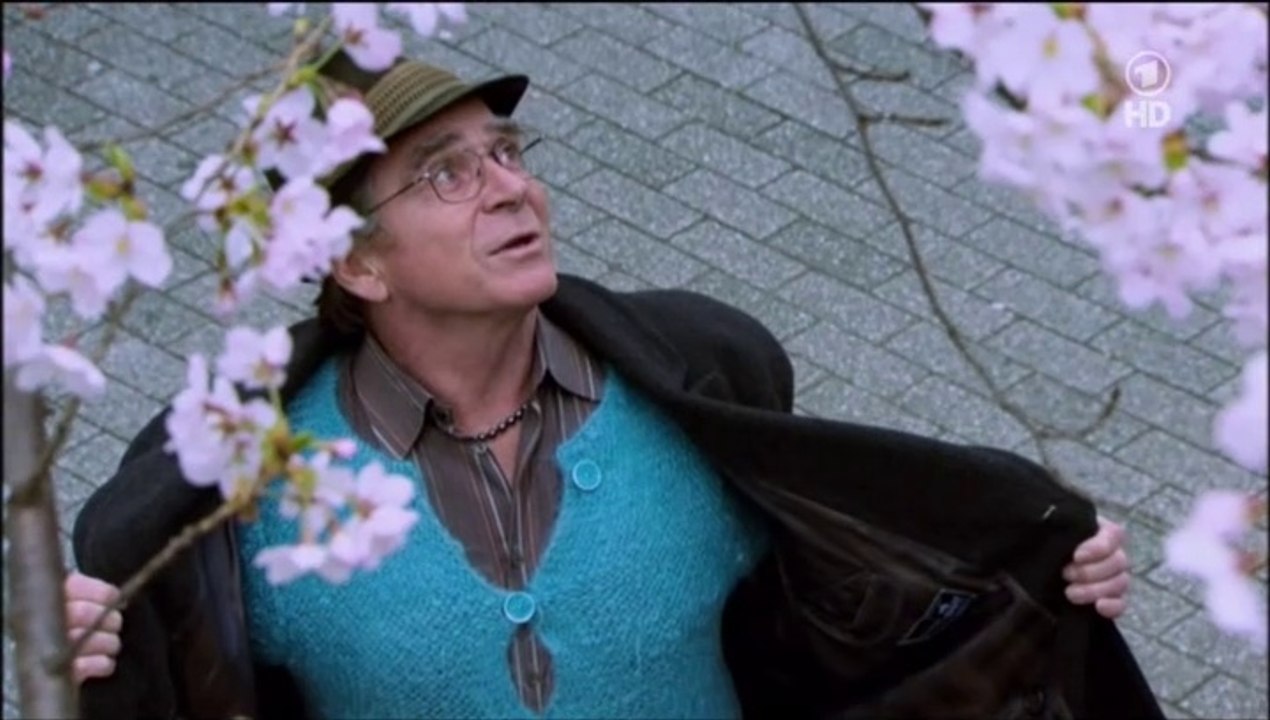 Kirschblüten - Hanami  (EXERPT)