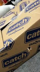 Cat Defends Box From Owner's Evil Hand