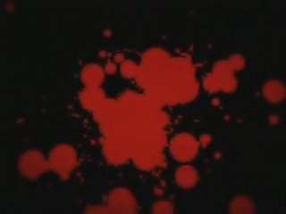 Master and God commander 3