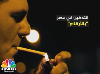 أكثر من 12 مليون مدخن بين المصريين .. التدخين في مصر بالأرقام !