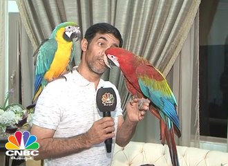 هواية اقتناء الطيور النادرة بين الكويتيين