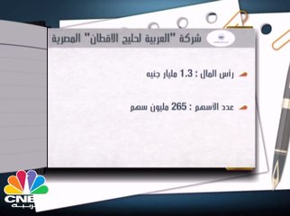 العربية لحليج الأقطان المصرية تتوقع إنهاء إجراءات التقسيم قبل نهاية العام الحالي