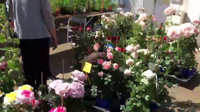 LA QUOTIDIENNE - L'INVITÉ : L'invité : Camille Di Folco 28 04 22