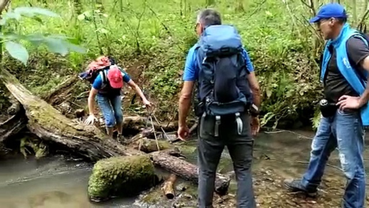 Traversée ruisseau 28042022 Abbaye de BEAULIEU -