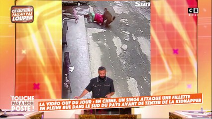Un singe attaque une fillette en pleine rue en Chine !