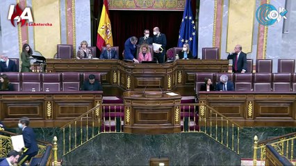 Hoy en LA ANTORCHA: Bildu/ETA salva al soldado Sánchez en el Congreso