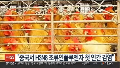 "중국서 H3N8 조류인플루엔자 첫 인간 감염 사례"