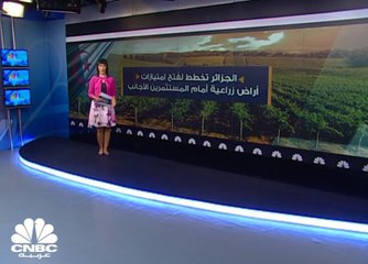 اتجاه لاصدار وثيقة رسمية لمنح امتيازات للاستثمار الأجنبي في القطاع الزراعي في الجزائر
