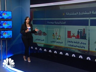 ما هي تفاصيل الاستراتيجية المشتركة بين السعودية والإمارات؟