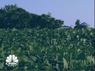 هل تخيلت في حياتك أن صرصار الليل قد يُصبح من ضمن وجباتنا في المستقبل؟