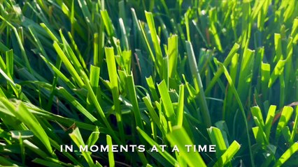 LIGHT || A Visual Poem