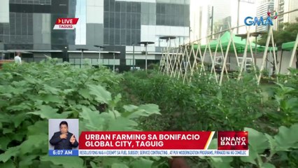 Urban farming sa Bonifacio Global City, Taguig | UB