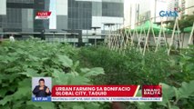 Urban farming sa Bonifacio Global City, Taguig | UB