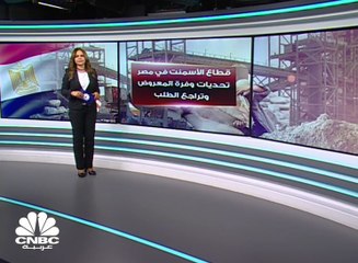 Download Video: 85 مليون طن سنوياً حجم الإنتاج الحالي لشركات الاسمنت المصرية