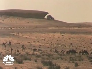 أرامكو السعودية....  من شركة وليدة تحبو إلى عملاق نفطي