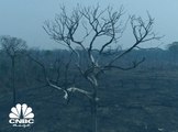 ناسا: البشر افتعلوا حرائق غابات الأمازون من أجل تحقيق هذا الهدف