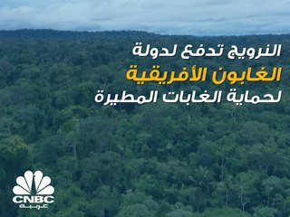 النرويج ستدفع 10 دولارات لـ الغابون مقابل كل طن من غاز الكربون تقوم غاباتها بامتصاصة